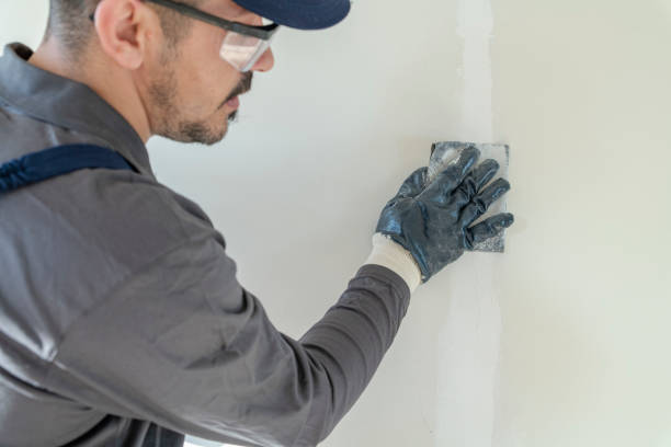  , USA Dry wall and painting Pros